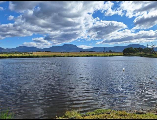 FARM FOR SALE IN GEORGE RURAL